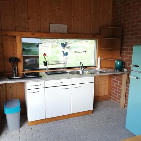 Ferienwohnung Und Sommerhaus Unter Der Burg Falkenberg  Εξωτερικό φωτογραφία