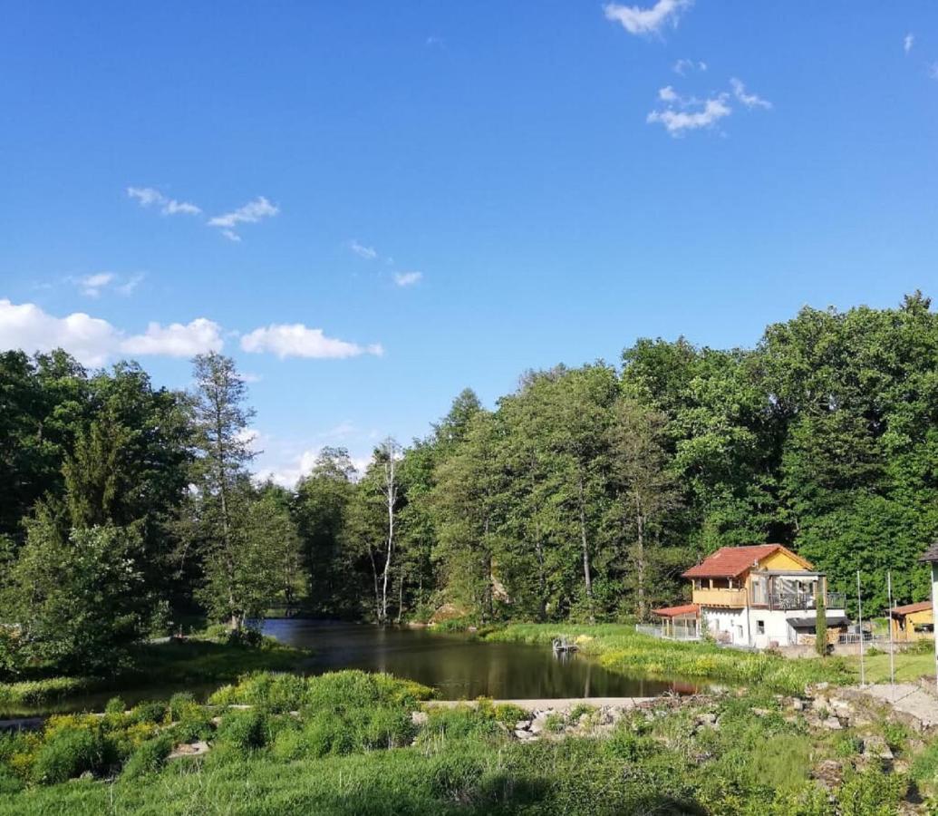 Ferienwohnung Und Sommerhaus Unter Der Burg Falkenberg  Εξωτερικό φωτογραφία