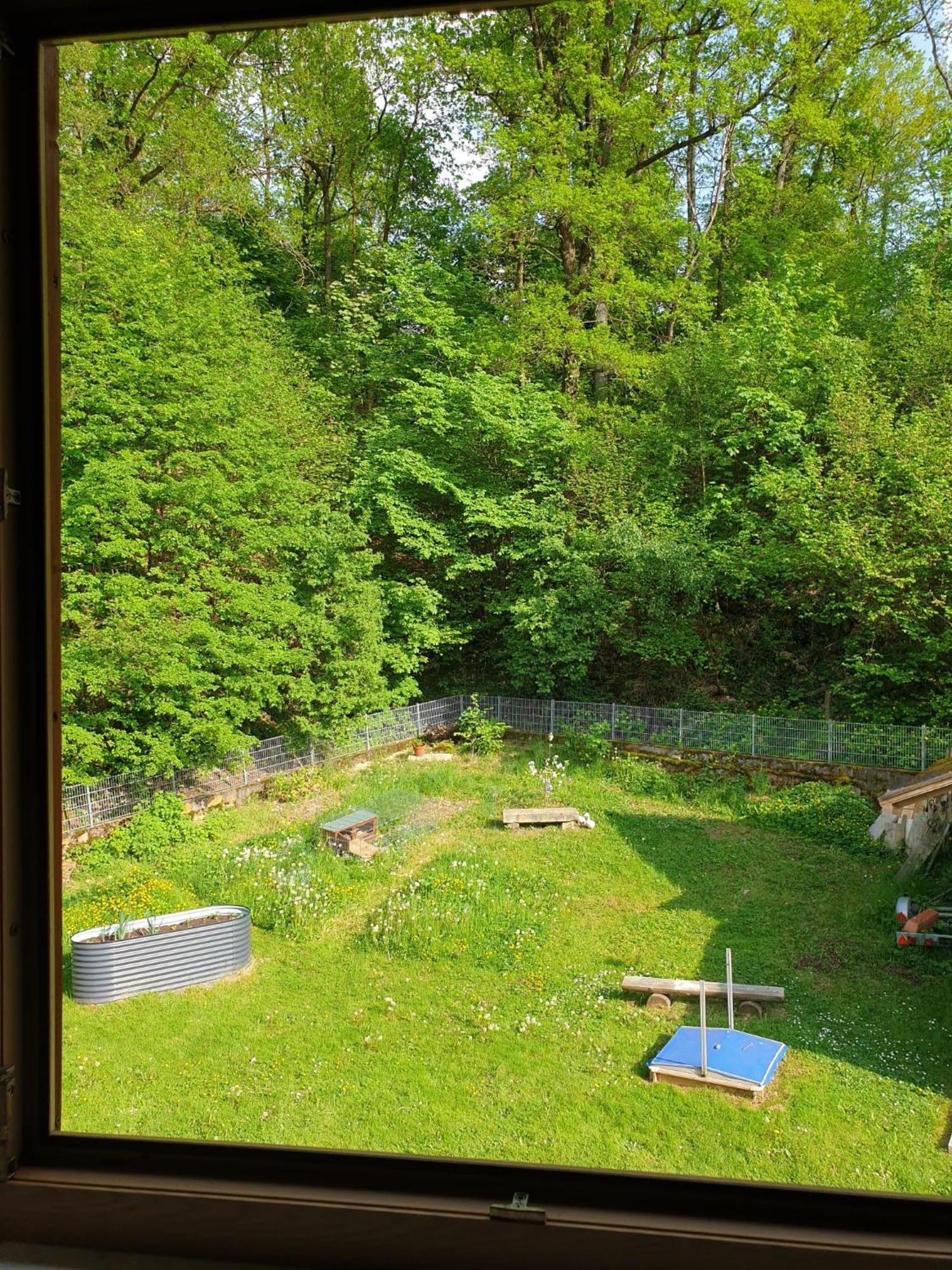 Ferienwohnung Und Sommerhaus Unter Der Burg Falkenberg  Εξωτερικό φωτογραφία