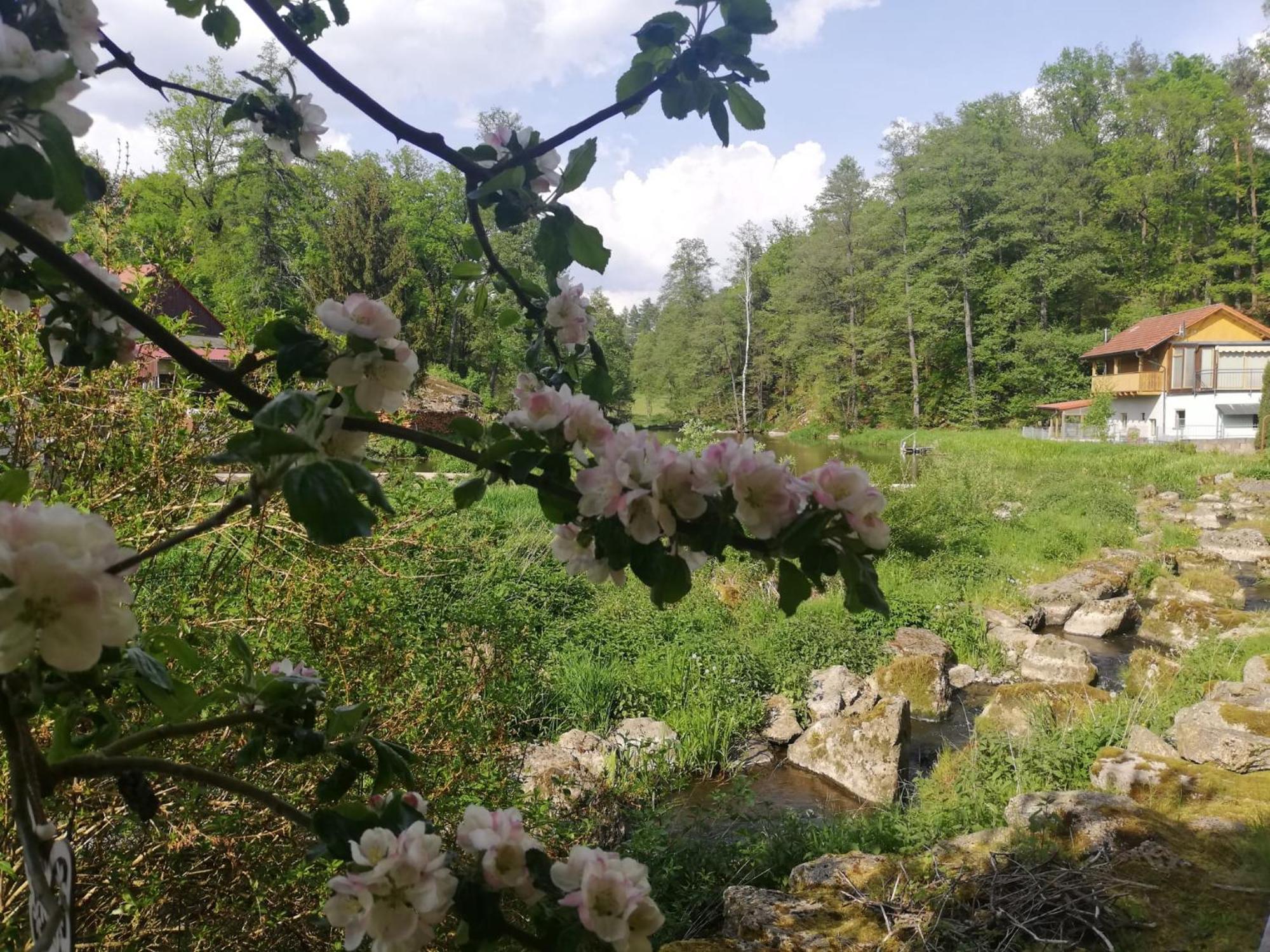 Ferienwohnung Und Sommerhaus Unter Der Burg Falkenberg  Εξωτερικό φωτογραφία